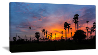 Sugar Palm Tree Silhouette, Landscape Canvas Art Print, 60"x28"