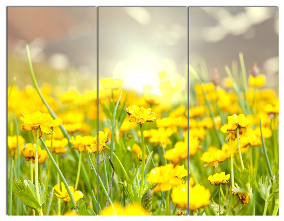Sunny Meadow with Yellow Flowers, Floral Triptych Canvas Print, 36x28, 3 Panels