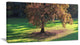 "Lonely Beautiful Autumn Tree" Wall Art, 60"x28", 1 Panel