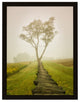Calming Morning Rural Landscape Framed Photo Paper Wall Art Prints, Black, 12" X 18"