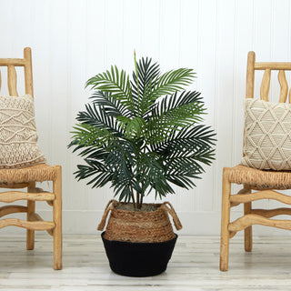 Lifestyle image showing the plant in a real room with chairs and decor.