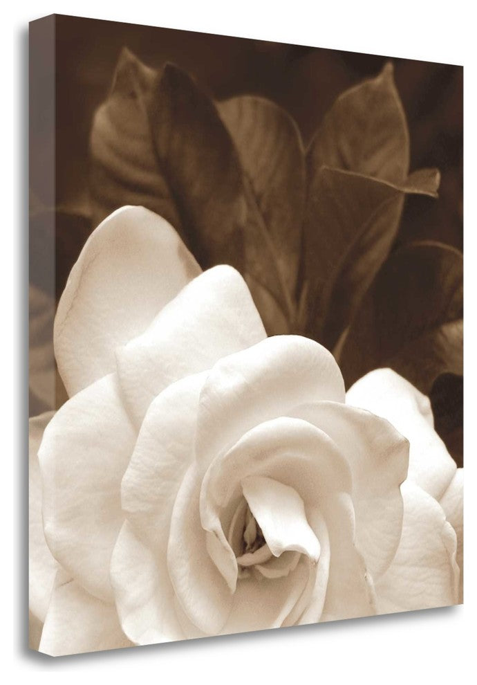 "Gardenia Garden" By Rebecca Swanson, Giclee Print on Gallery Wrap Canvas