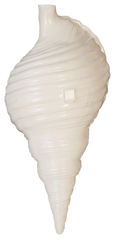Triton Shell Wall Art, Pearl White and Gold Leaf
