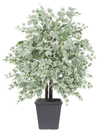 Full product on white background, front-facing and uncluttered.