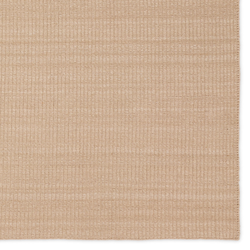 Jaipur Living Facet Handmade Indoor/Outdoor Solid Tan Area Rug 2'X3'