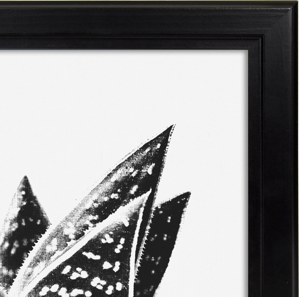 Kieva Solid Wood Picture Frame Set, Black 4x6, Black, 11x17