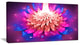 Bright Pink Fractal Flower on Blue, Floral Canvas Art Print, 32"x16"