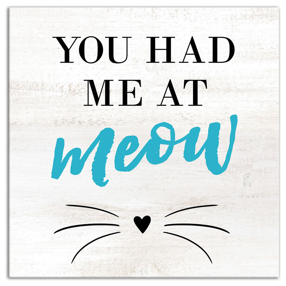 Designs Direct Had Me At Meow 12x12 Canvas Wall Art