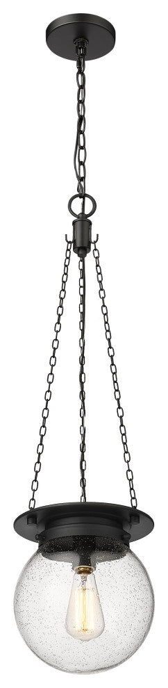 Z-LITE 1-Light Pendant, Matte black