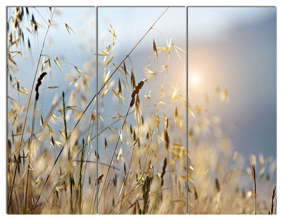 Typical Tuscany Sunset Italy, Landscape Triptych Canvas Print, 36x28, 3 Panels