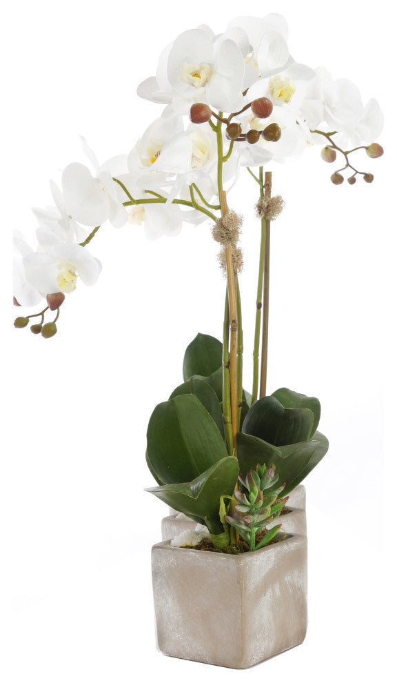 Three Sisters Real Touch White Orchid Arrangement