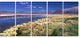 "Colorada Lagoon And Pabellon Volcano" Beach Wall Art, 5 Panels, 60"x28"