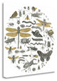"Insect Circle I" By Wild Apple Portfolio, Giclee Print on Gallery Wrap Canvas