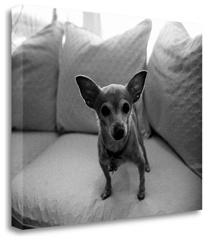 "Sweetpea" By Kim Levin, Giclee Print on Gallery Wrap Canvas, Ready to Hang