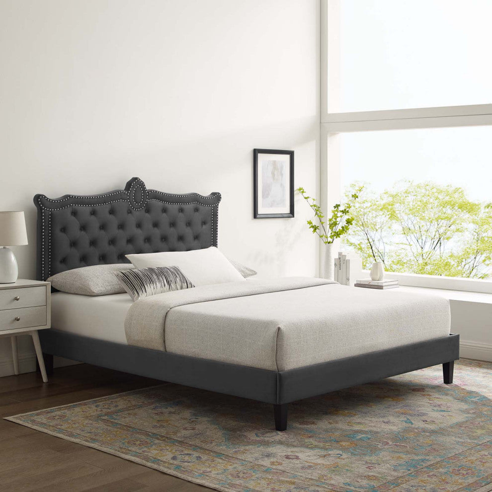 Platform Bed Frame, Nailhead, Queen Size, Charcoal Gray, Velvet, Modern