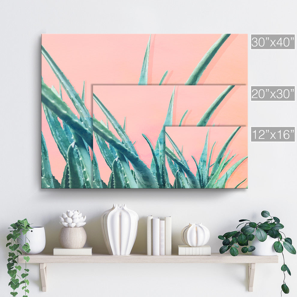 Ready2HangArt 'Aloe Need' Wrapped Canvas Succulent Wall Art, 20"x30"