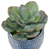 Uttermost Puebla Greenery In Blue & White Pots, 3-Piece Set