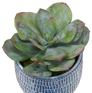 Uttermost Puebla Greenery In Blue & White Pots, 3-Piece Set
