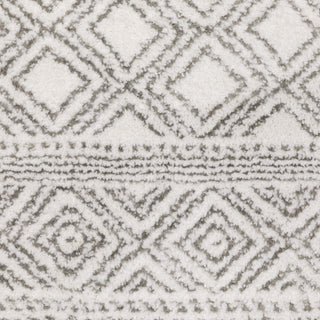 Monfort Diamond Oriental White/Grey Indoor Area Rug, 3'3"x5'