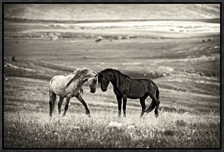 "Close Encounter" Framed Canvas Giclee by Vedran Vidak, 23x16"