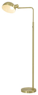 1-Light Satin Brass Metal Floor Lamp With A Metal Shade