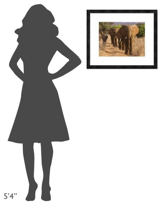 "Herd of African Elephants, Kenya" Framed Digital Print by Anonymous, 24x20"