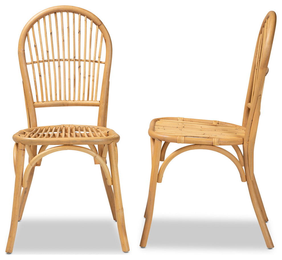 Wina Modern Bohemian Natural Brown Rattan 2-Piece Dining Chair Set