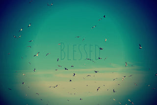 "Blessed" Painting Print on Wrapped Canvas