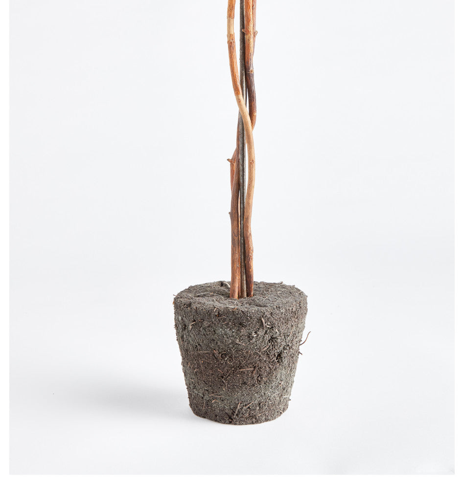 Boxwood Single Sphere Topiary Drop-In, 24"