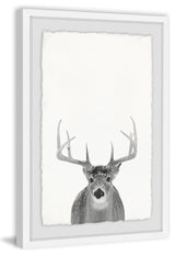 "Gray Deer" Framed Painting Print, 20"x30"