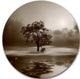 Alone Tree On Island In Sepia, Disc Metal Wall Art Landscape, 23"