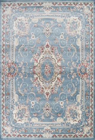 Light Blue Floral Medallion Transitional Turkish Rug Oriental Carpet 8x10