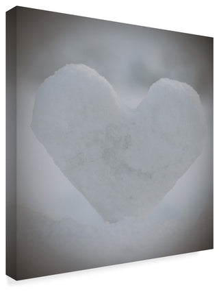 "Heart of Ice" by Christine Sainte-Laudy, Canvas Art
