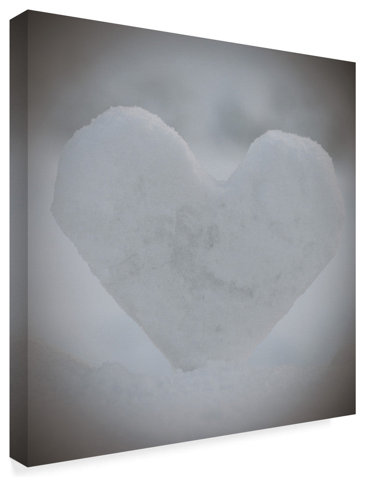 "Heart of Ice" by Christine Sainte-Laudy, Canvas Art
