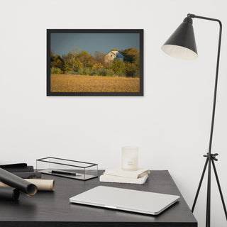 Abandoned Barn In The Trees Framed Photo Paper Wall Art Prints, Black, 12" X 18"