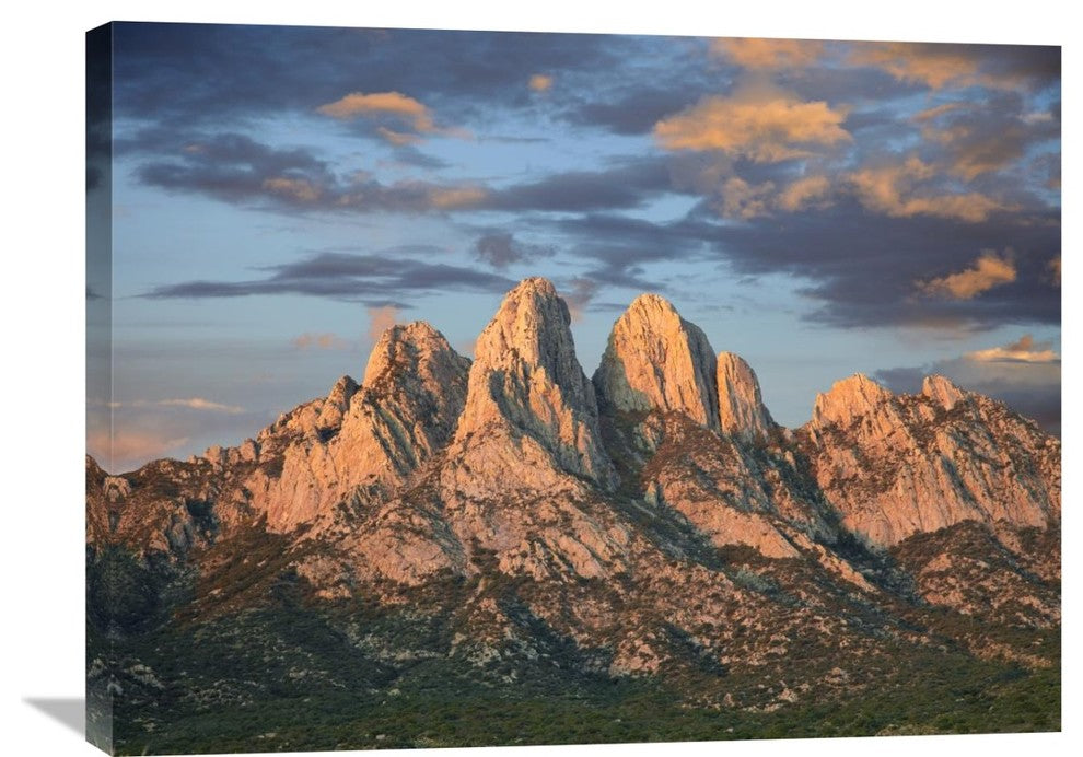 "Organ Mountains Near Las Cruces, New Mexico" Artwork