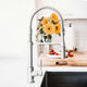 ZLINE Sierra Kitchen Faucet, Brushed Nickel, SRA-KF-BN