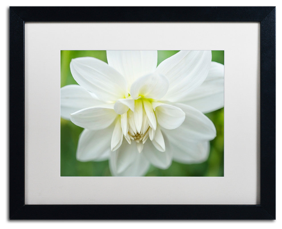 Cora Niele ''White Dahlia'' Matted Framed Art