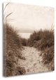 "Dune Path" By Christine Triebert, Giclee Print on Gallery Wrap Canvas