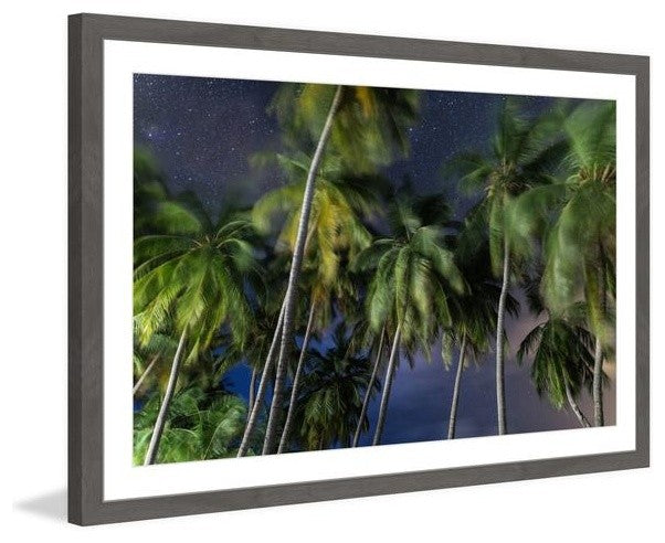 "Palms at Night" Framed Painting Print, 36"x24"