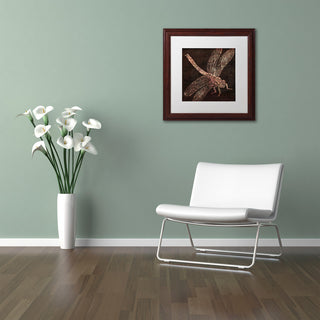 Color Bakery 'Dragonfly' Art, Wood Frame, White Matte, 11"x11"