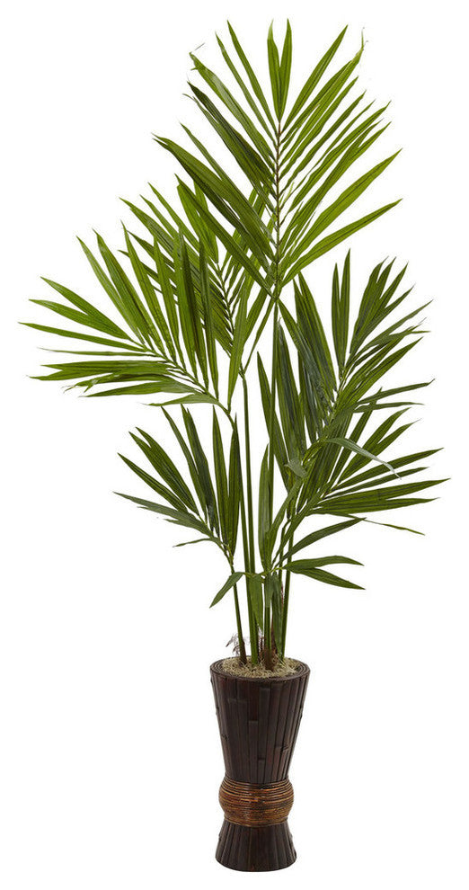 6' Kentia Tree With Bamboo Planter