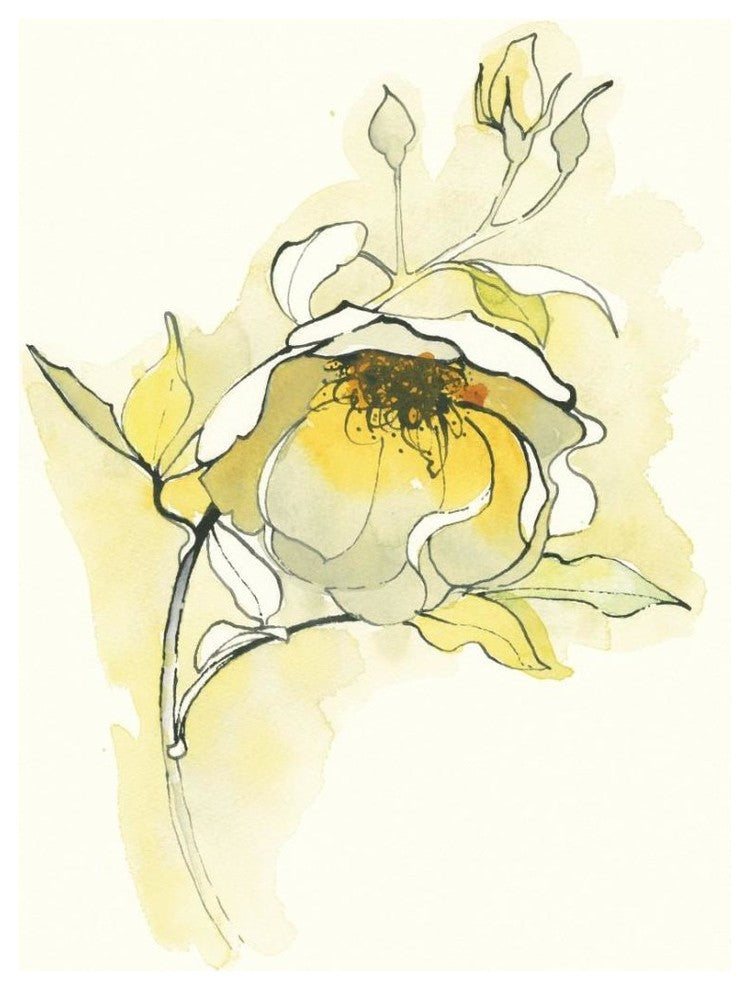 "Carols Roses V" Digital Paper Print by Shirley Novak, 20"x26"