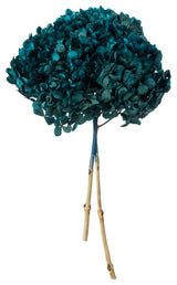 Vickerman Natural Botanicals 15 Hydrangea With Multiple Branch Segments