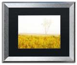 PIPA Fine Art 'Dreams of Goldenrod and Fog' Matted Framed Art, 20x16