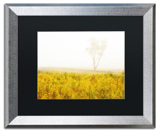 PIPA Fine Art 'Dreams of Goldenrod and Fog' Matted Framed Art, 20x16