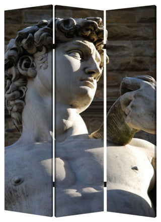 48" X 72" Multi Color Wood Canvas Rome  Screen