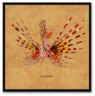 Lionfish Animal Brown Canvas Print, Custom Picture Frame, 30"x30"