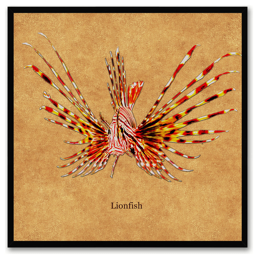 Lionfish Animal Brown Canvas Print, Custom Picture Frame, 30"x30"