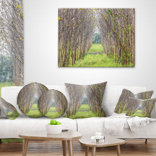 Pathway Through Fall Green Trees Landscape Photography Throw Pillow, 16"x16"